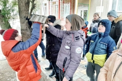 photo_2025-03-03_17-13-08