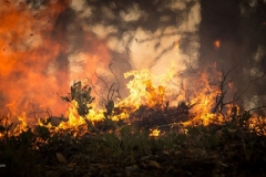 orig-156316259079dbc8d5a1de15d81c647f6751fd24f6