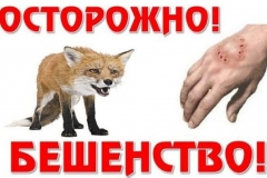 5d79c1d203e7a156d0923a3a7be76775