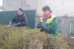 изображение_viber_2025-03-17_14-39-15-159