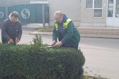 изображение_viber_2025-03-17_14-39-17-388