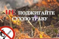 Без названия (1)