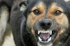 91c8fec97a061f3aeef1724891c1496d3c08f410