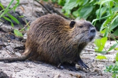 5c407e4b2c593e7f0629ffb2