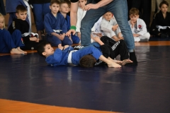 Без названия (20)