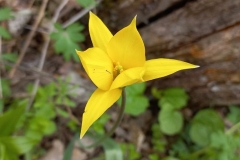 photo_2024-04-10_09-20-36