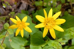 photo_2024-04-10_09-20-51