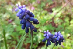 photo_2024-04-10_09-21-02