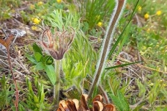 photo_2024-04-10_09-21-39