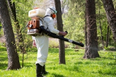 image-landscape-Mite-treatment-1198x722