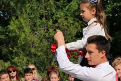 Изображение 187