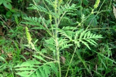 68732440_599708543886273_5958637794527019008_n-min