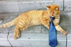 0-02-03-5364d0797ea0863f79673808a4819363f1086d8e461fe77d582f5197538aa124_f493acd6 (1)