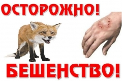 60b3009be9d5f1fae60ffeb5fdb2cfda