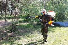 0-04-05-8de3cf166c4695765aecfaff2506e5bb0e6fdb3b843595a0ee3a20841ba6e4ee_dcea6c3c