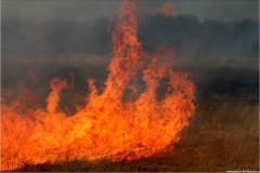 Artem-Kashkanov.ru1249630478