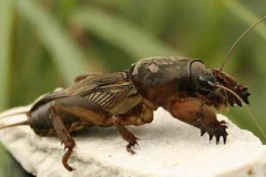 8b941e30-c93b-4a41-9fbc-1f3ff908c85c_1