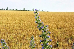 0-02-05-8246dc7df3812c6e57e520bc04fc879caed5cd9977b0ee744c9c1fb2d5a8b020_21a31b46