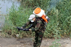 2-e1562239020133-1024x869