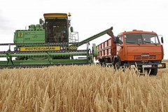 350px-Agriculture_in_Volgograd_Oblast_001