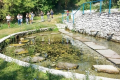 0-02-03-96c2a7093d7ab25bb41c0e664222ed6f926b556bd0759c118eabbe3ae73151bd_73770a74