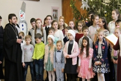 Изображение 5215