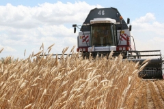 18c1da424f6fb0350424305eaf758dd0_0