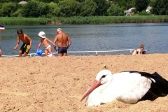 photo_2021-08-04_17-15-51