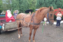 IMG-113d5c3ee7bb3f975c5f41115fffddc3-V