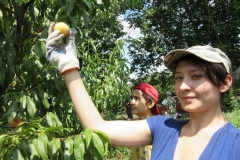 1 лилия и илья палий