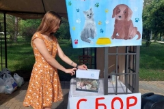 IMG-ad17463127d1d09824662cab006f9d38-V