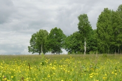 _____20180803_1214002927