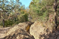 изображение_viber_2023-09-13_13-03-56-828