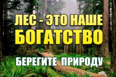 tn_190177_72a7af44cebc3