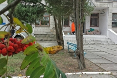 0-02-0a-2f7e6660ce6861c88df3ba296f784122376181ff6922bf8f7f1bda64ad2ca0f0_d013b14c61483f73