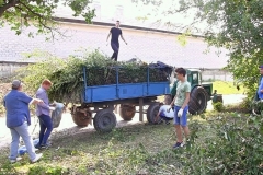 C175A94F-56A0-41CB-803B-7E964A26A9C7