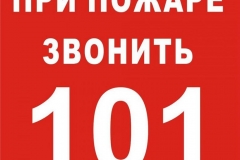 news_39975_image_900x_