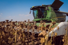 latifundist-com-agropoligon-john-deere-podsolnechnik-suvorova-uborka-3-112709