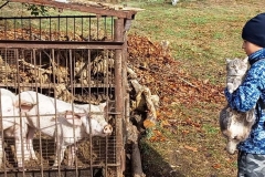 изображение_viber_2023-11-07_18-36-39-005