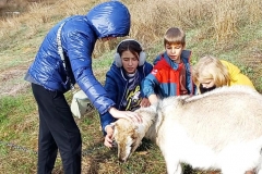 изображение_viber_2023-11-07_18-36-39-163