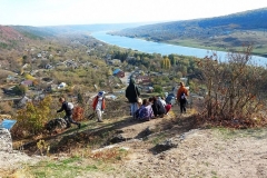 изображение_viber_2023-11-07_18-36-40-063