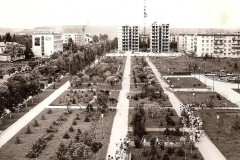 15 -20 Фото. Городской парк. Снимок 70-х гг. ХХ века.