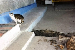 0-02-05-2e95411d6b08cb607a5b05b271cf1d317620e6c2e8e4f5521195c393f3e9d586_bba229e5