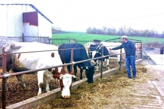 3D970DE0-C37C-47EC-9BC2-46596C89A53A