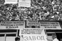 IMG-35075eea8a1a9e4e3b5529f8144e015e-V (1)