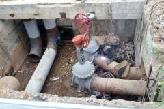 viber_2019-08-15_11-54-39