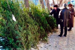 4357740-v-ukraine-otkryvayutsya-elochnye-bazary