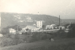 зарождение Вин пункта 1931 год