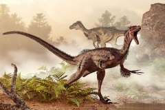 5bd084c7370f2c1f638b4591