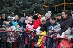 Изображение 4486-111